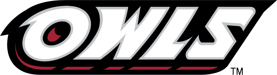 Temple Owls 1996-2014 Wordmark Logo t shirts iron on transfers
